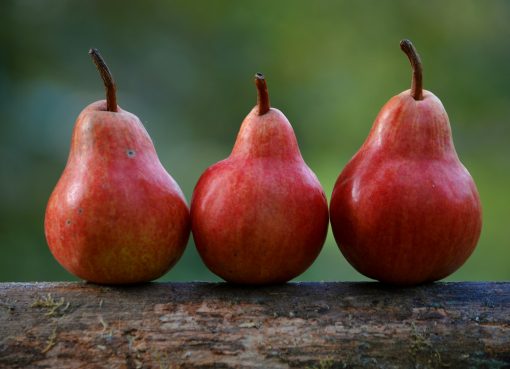 Mental Health Challenges in HighPerformance Sports