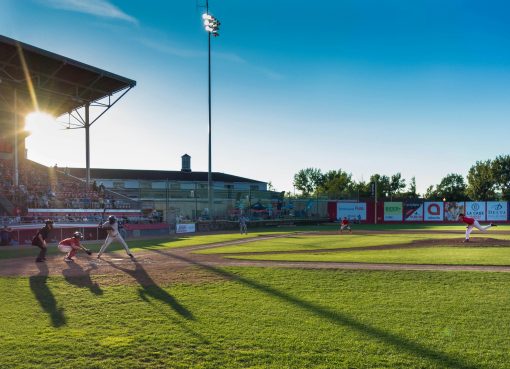 Cultural Impact of Sports Figures