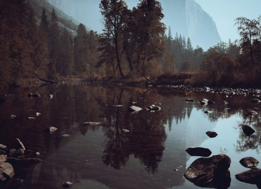 Cultural Significance of National Championships