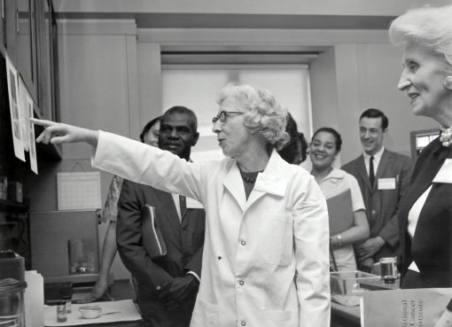 Economic Analysis of Sports Investments