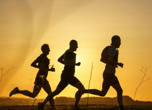 Innovations in Sports Nutrition and Supplements