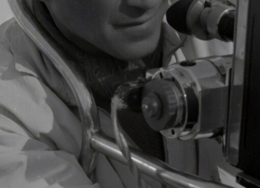 Economic Significance of Sports Media Rights