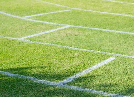 Economic Analysis of Professional Sports Markets